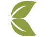 Ayurveda Leaf